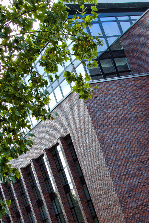 Referenz 86 | Klinkerwerke Muhr